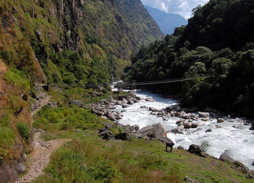 Is it possible to do river trekking in Mount Kenya?