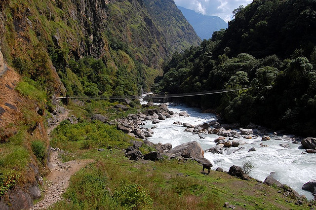 Is it possible to do river trekking in Mount Kenya?