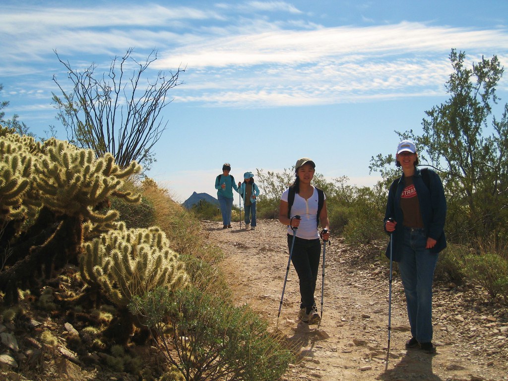 2. Unlocking the Hidden Treasures: Why Opting for a Guided Trek in Mount Kenya is Highly Recommended