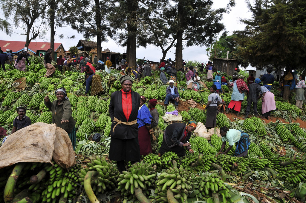 3. Superstitions in Daily Life: Unraveling​ Traditional Customs That Continue to Shape Mount Kenya's Community