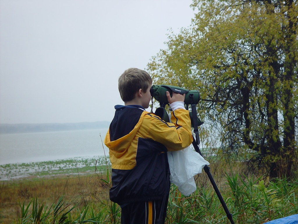 Making the Most of Your Bird-Watching Experience in the Majestic Mount Kenya Landscape