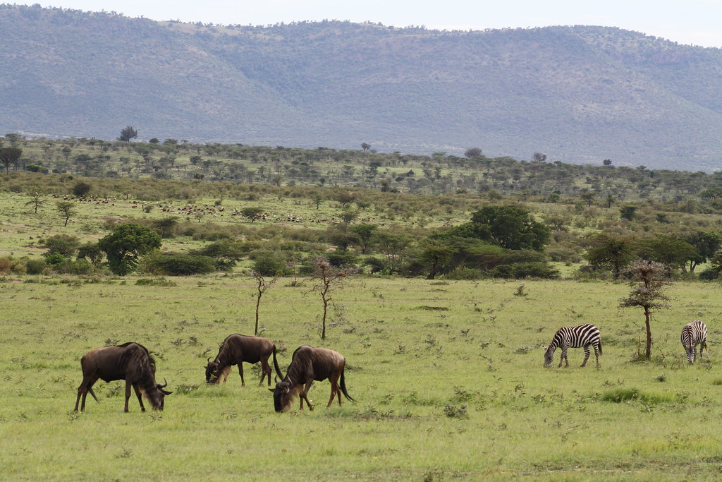 1. Accessing Medical Care in the Wilderness:⁤ An Overview of Medical Assistance Availability during​ Mt Kenya Game Drives