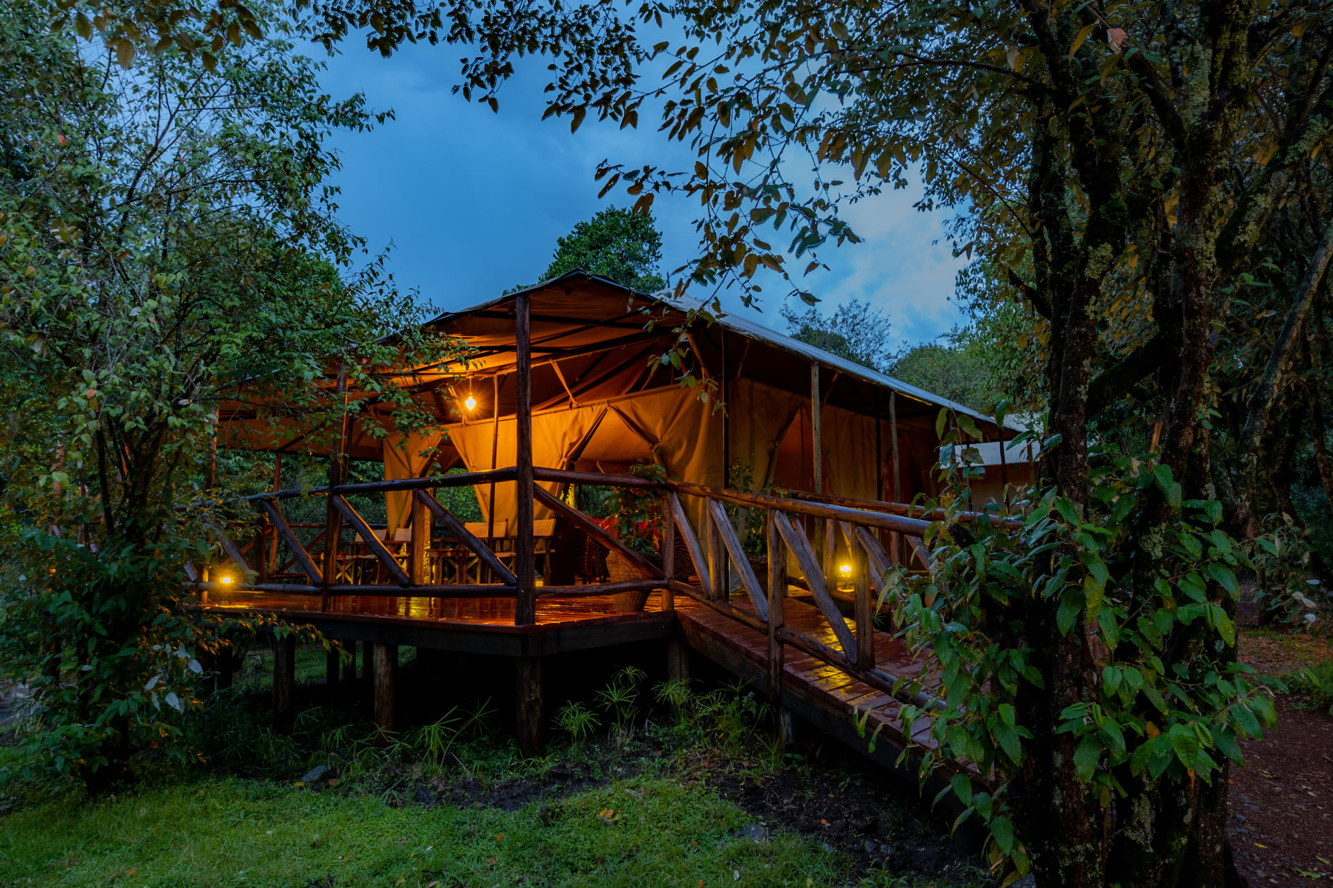 Experience Authentic Safari Hospitality: Treat Dad to a Remarkable Father's Day in Mount Kenya