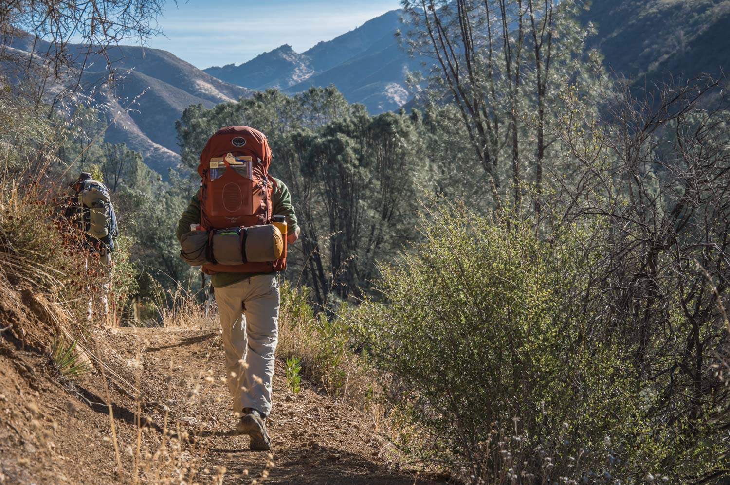 Essential‌ Tips ‌for a Successful Trek through Mount Kenya's Forests