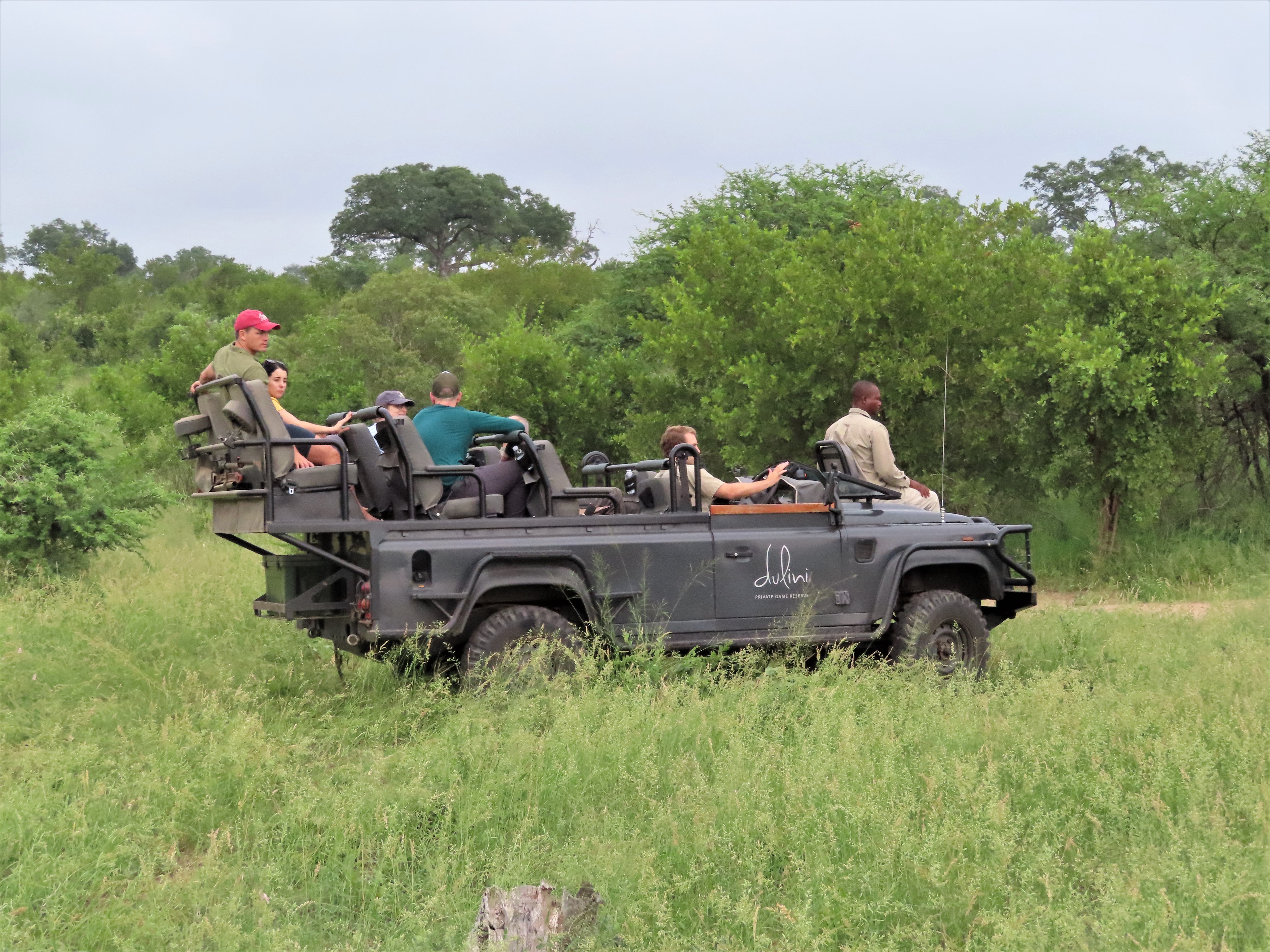 Exploring the Ideal Group Size for Private Game Drives in Mount Kenya