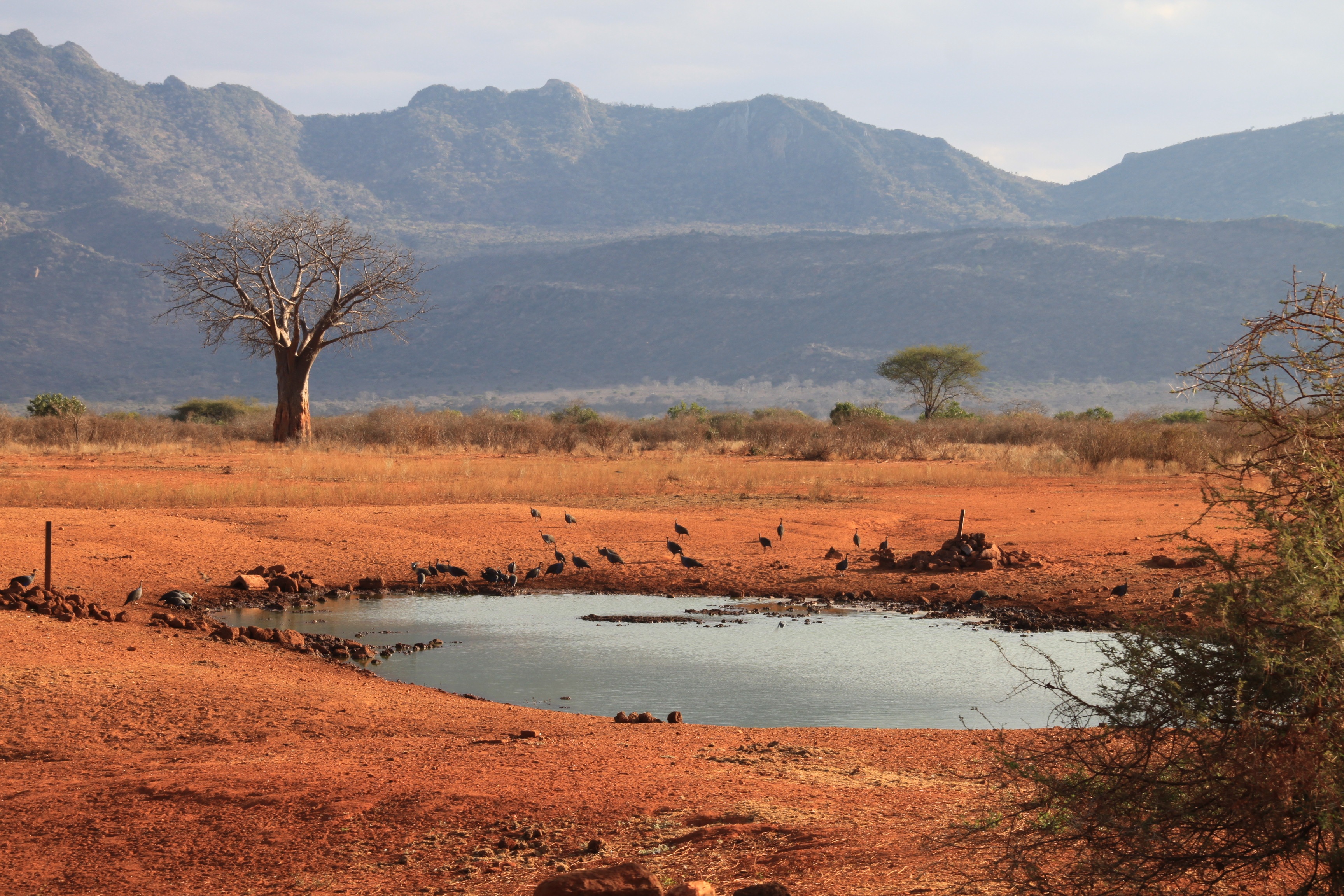 The Ultimate ​Mountain ⁢Safari: Must-Visit Locations⁢ and​ Expert Recommendations in Mount ⁤Kenya