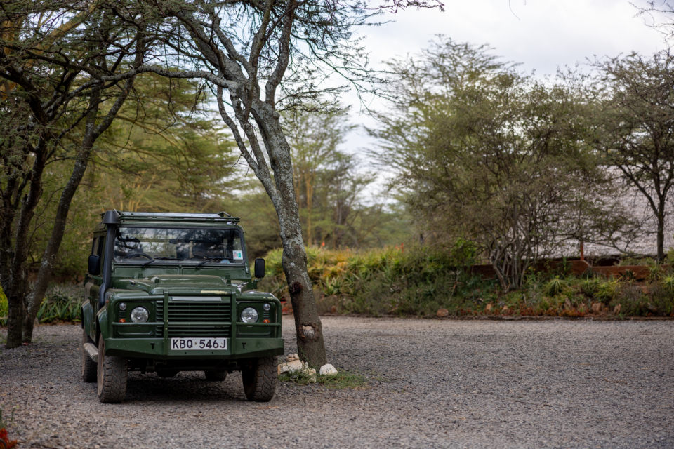 4. Planning a Thrilling Safari Adventure? Don't Miss Out on New Year Discounts for Mount Kenya Game Drives!