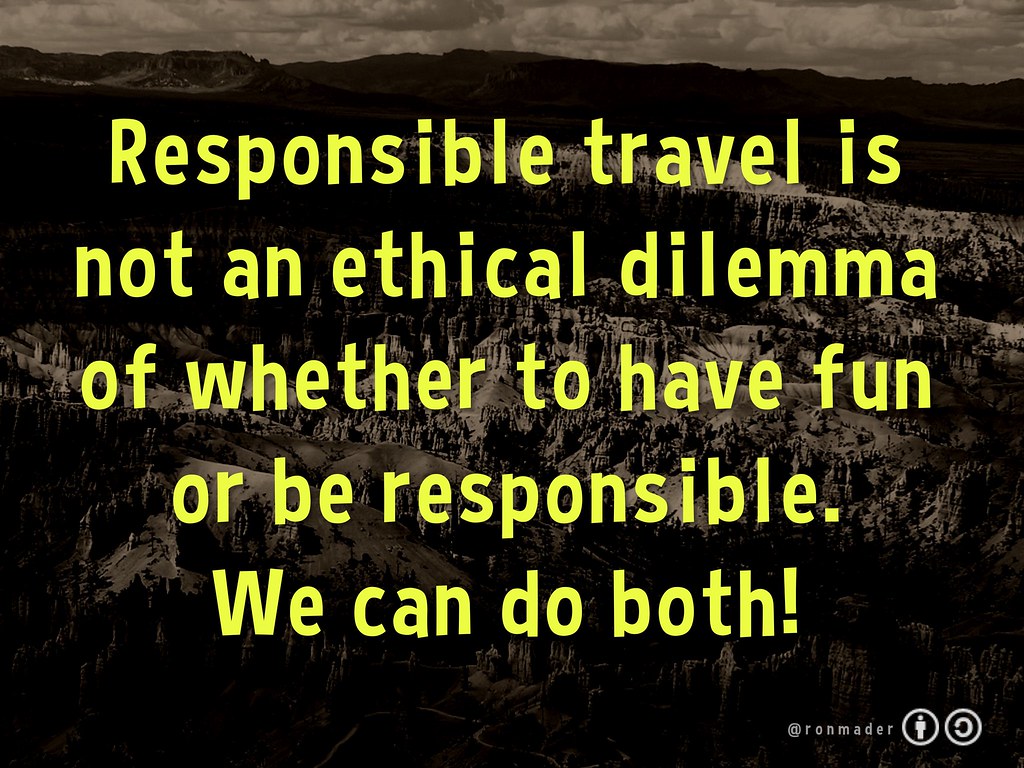 4. Becoming a Responsible Traveller: Guidelines for Enhancing Safety and Conservation Efforts during​ Game Drives in Mount Kenya