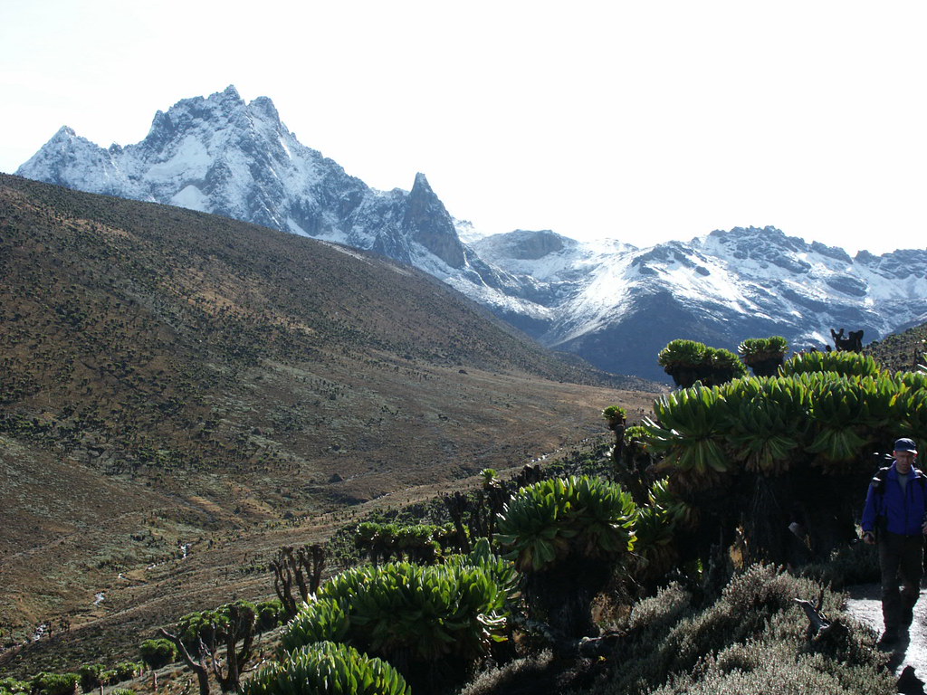 4. Making the Most of Your Mount Kenya Adventure: Our Expert Recommendation for Booking Your Game Drive