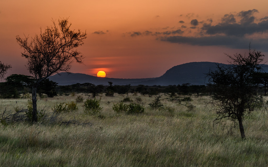 A Guide to Planning a Sunrise Game Drive in Mount ‍Kenya