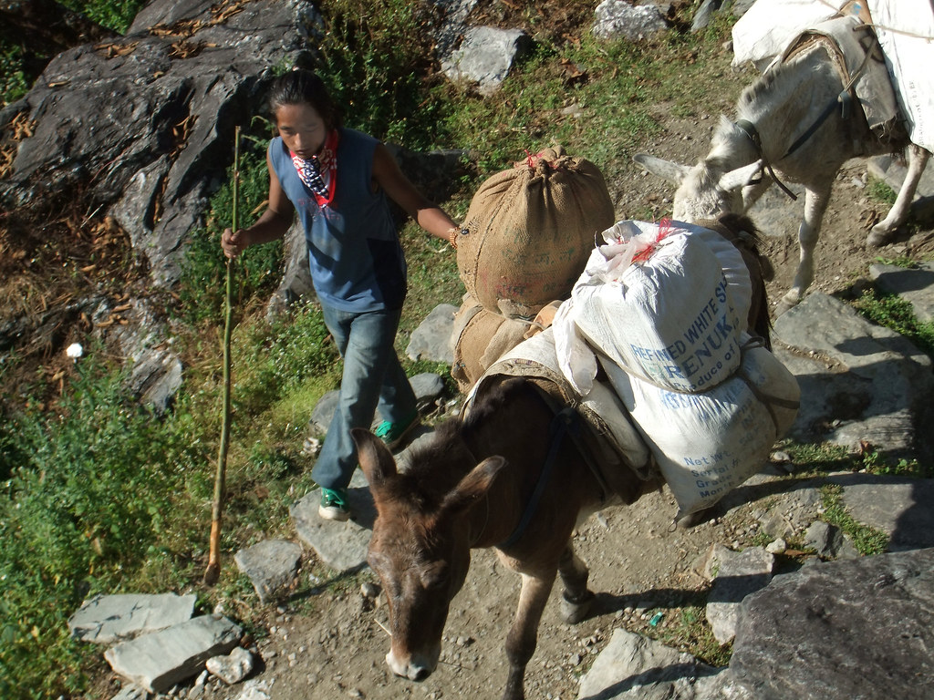 Are there any famous trekkers associated with Mount Kenya?
