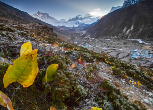 Are there cultural experiences included in Mount Kenya trekking tours?