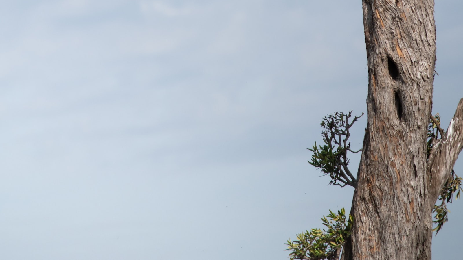 What is the rock quality like in Mount Kenya for climbing?