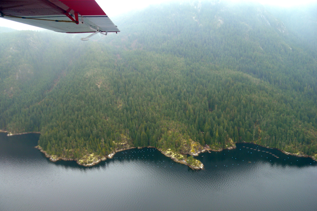 Can I combine a scenic flight with other activities in Mount Kenya?