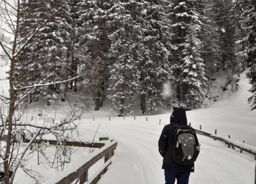 Can I do winter hikes in Mount Kenya?