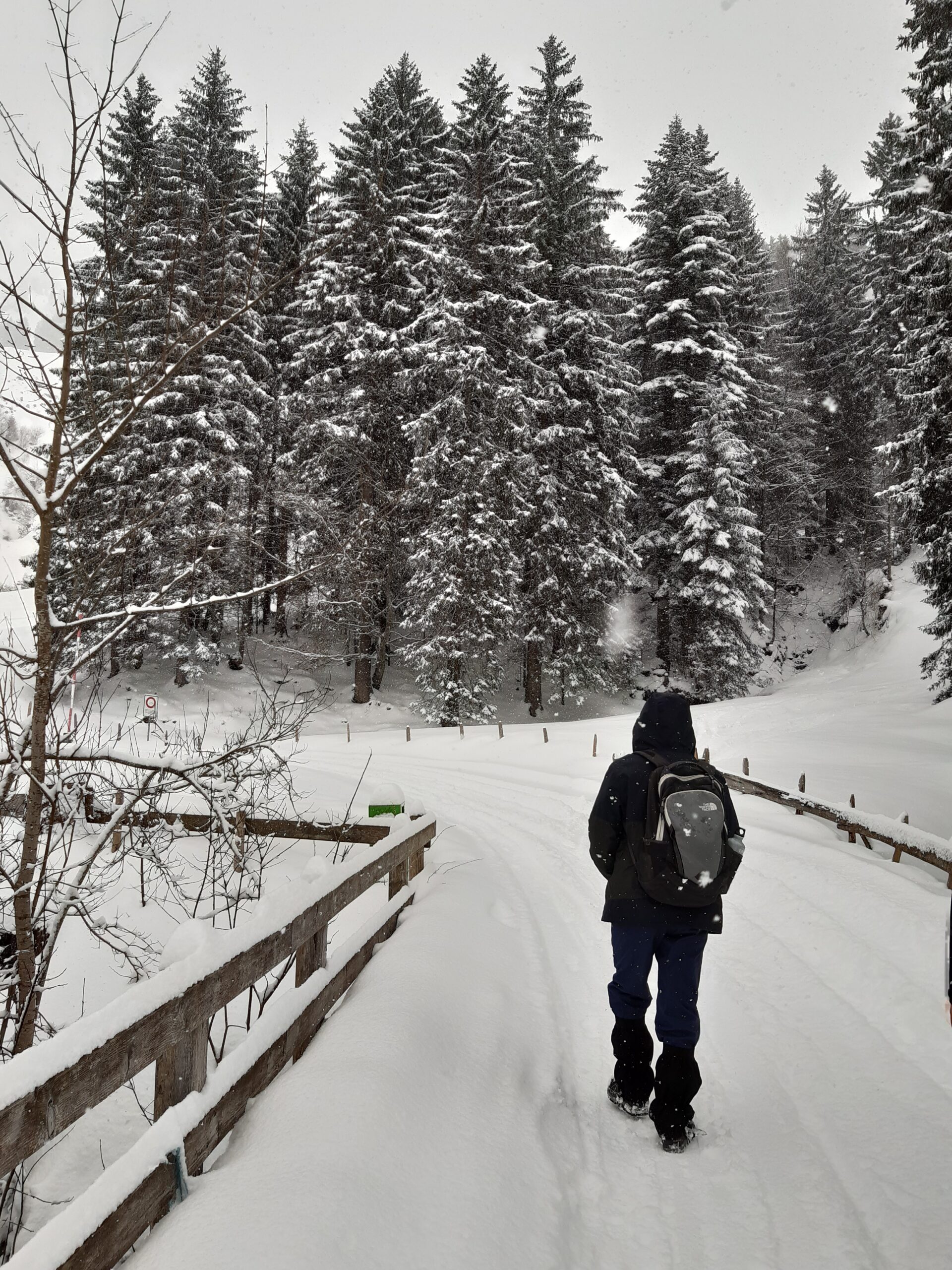 Can I do winter hikes in Mount Kenya?