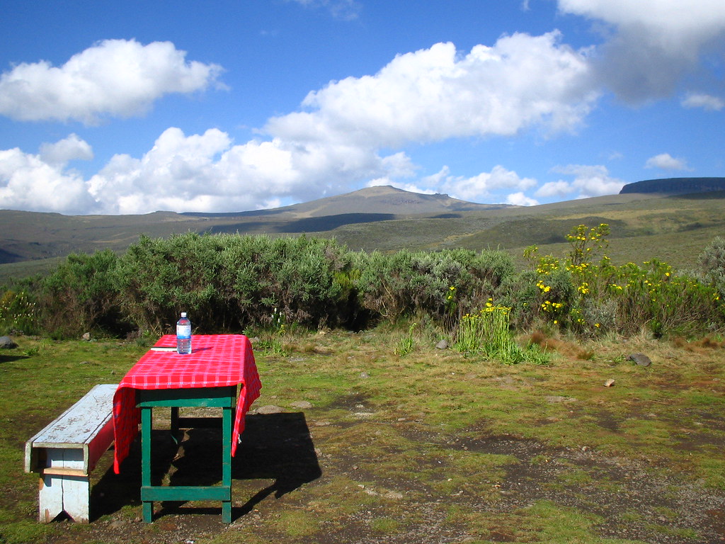 2. Immersing in the Wildlife Wonderland: Discovering the Exquisite Flora and Fauna of Mt Kenya National Park