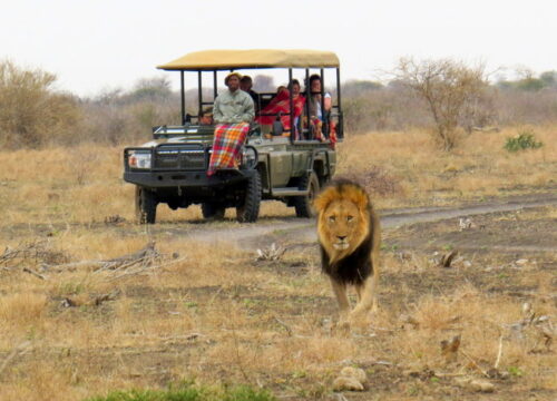 What is the cost of a game drive safari in Mount Kenya?