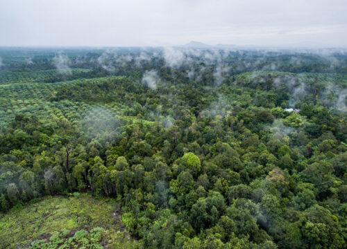 Can I capture aerial footage during scenic flights over Mount Kenya?