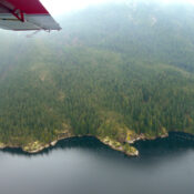 What safety measures are in place for scenic flights in Mount Kenya?