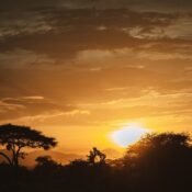 What types of habitats are ideal for bird watching in Mount Kenya?