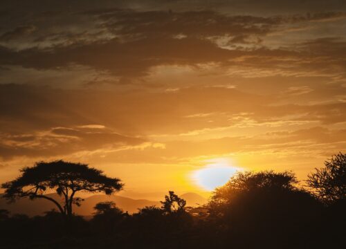 What types of habitats are ideal for bird watching in Mount Kenya?