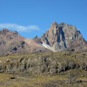 What bird species are unique to Mount Kenya’s crater lakes?