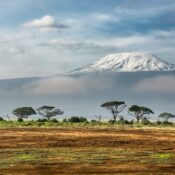 Can I combine a game drive with hiking in Mount Kenya?