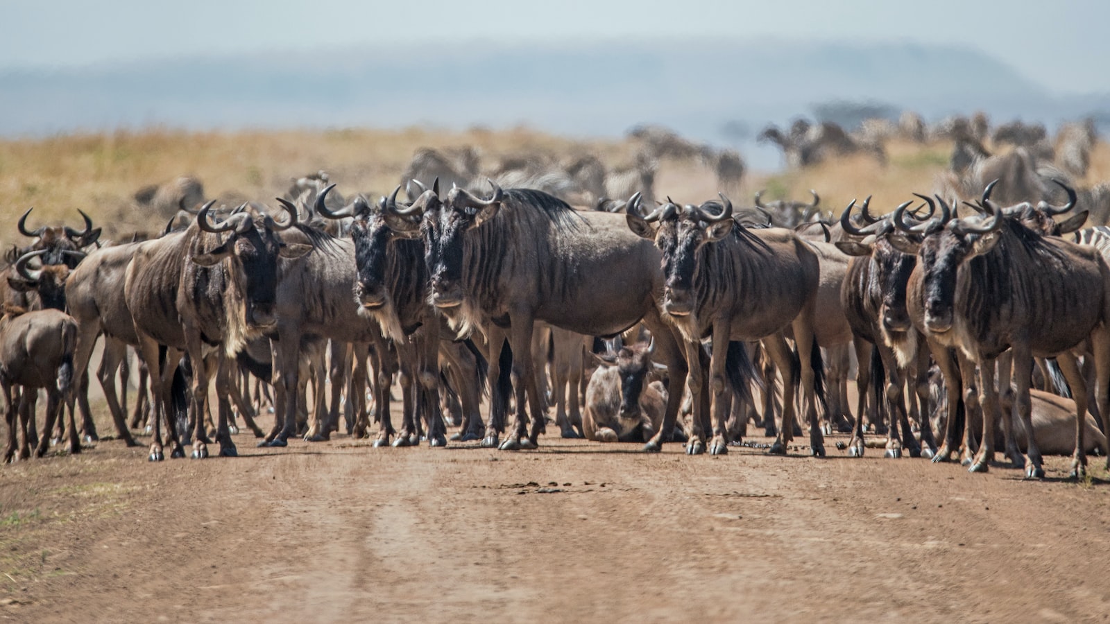 Are there any climbing challenges in Mount Kenya?