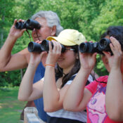 What is the best time of day for birdwatching during a game drive in Mount Kenya?