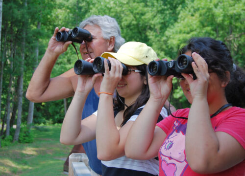 What is the best time of day for birdwatching during a game drive in Mount Kenya?