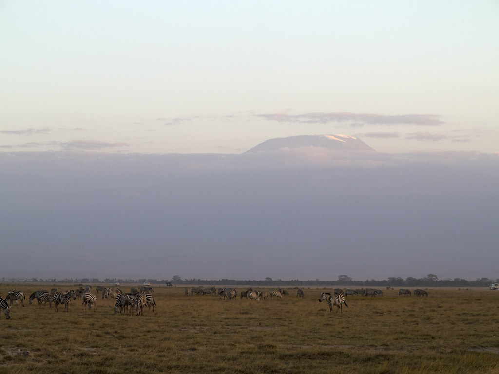 A Comprehensive​ Guide to Picnic Area Amenities and Facilities during ⁣Mount ‌Kenya Game Drives