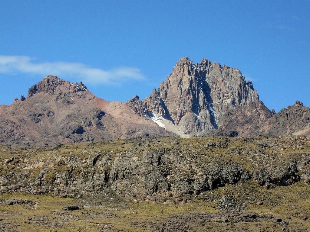 Venturing into the Breathtaking World of Bird Surveys on Mount Kenya