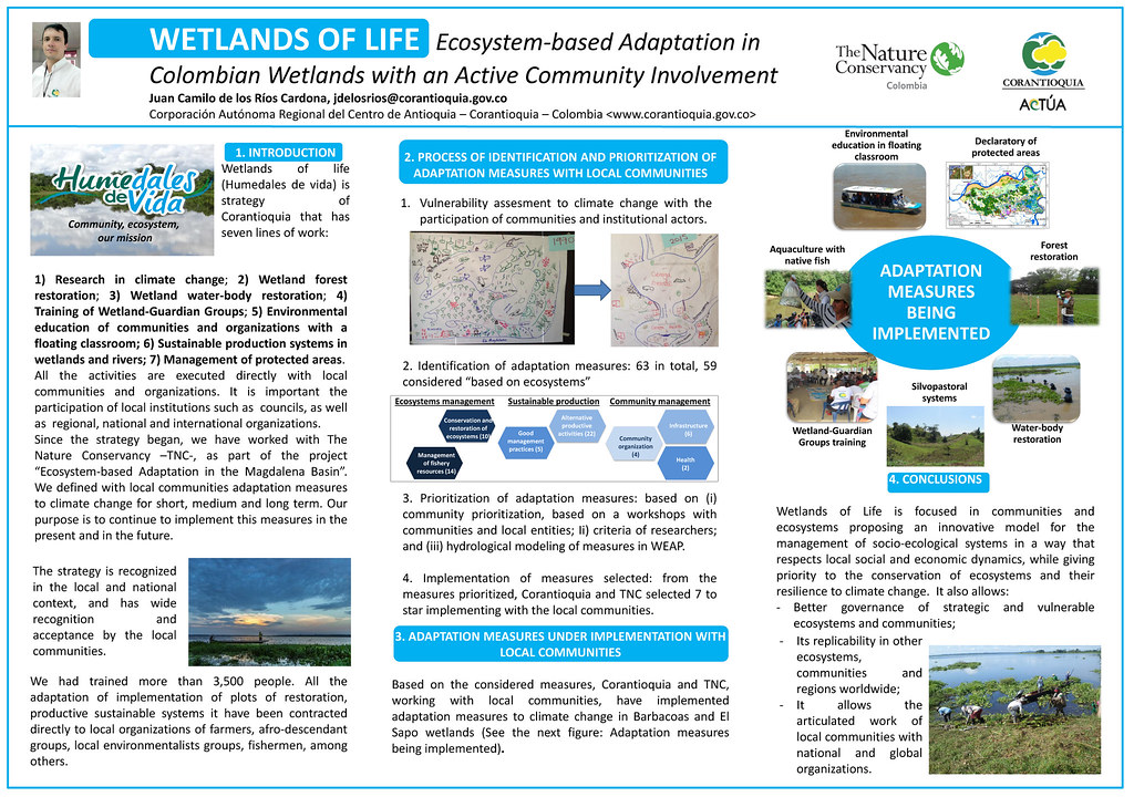 3. Conservation Measures ⁤Needed: Protecting Mt Kenya's Endemic⁣ Bird Species