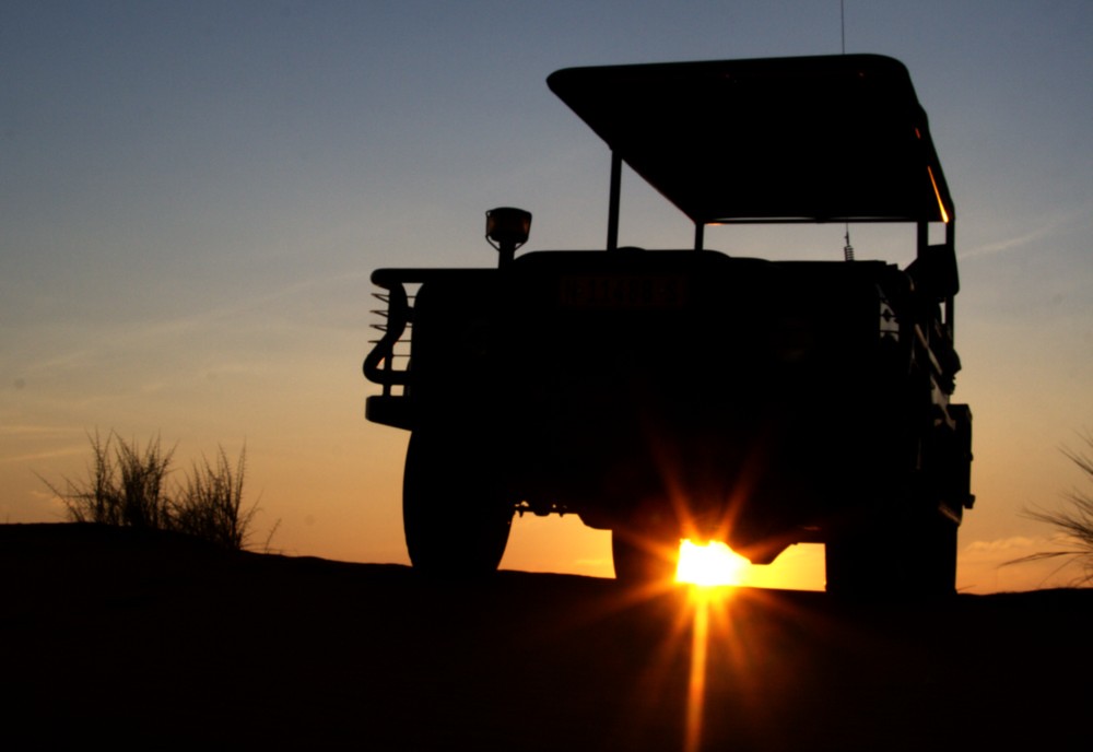 Adventurous Trails and Breathtaking Scenery: Delighting in a Sunset Game Drive⁣ in Mount Kenya