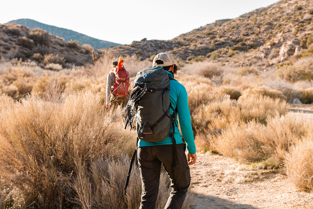 The Best Seasons for Hiking Mt Kenya: Insider Tips and Recommendations