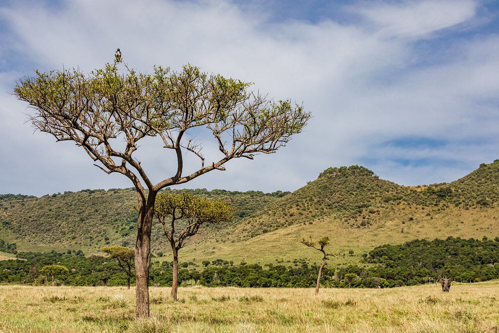 1. Preserving Mount Kenya's Natural Beauty: Exploring Environmentally Responsible Scenic ⁤Flight⁤ Options