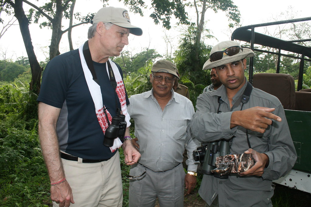 Conservation Efforts to Preserve Mount Kenya's Avian Species and Habitats