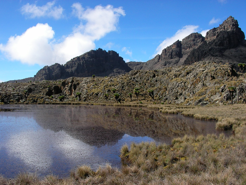 Venture into the Heart of Kenya's Wildlife at Mount Kenya National Park