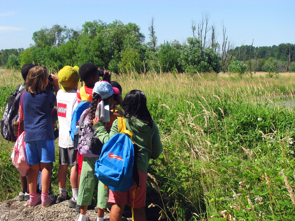 Unforgettable Bird-Watching Adventures: Educational Tours for School Groups in the Breathtaking Environs of Mount Kenya