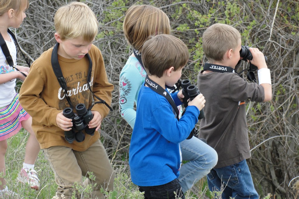 Why Joining a Bird-Watching Club in Mount Kenya is a Must for Avid Ornithologists