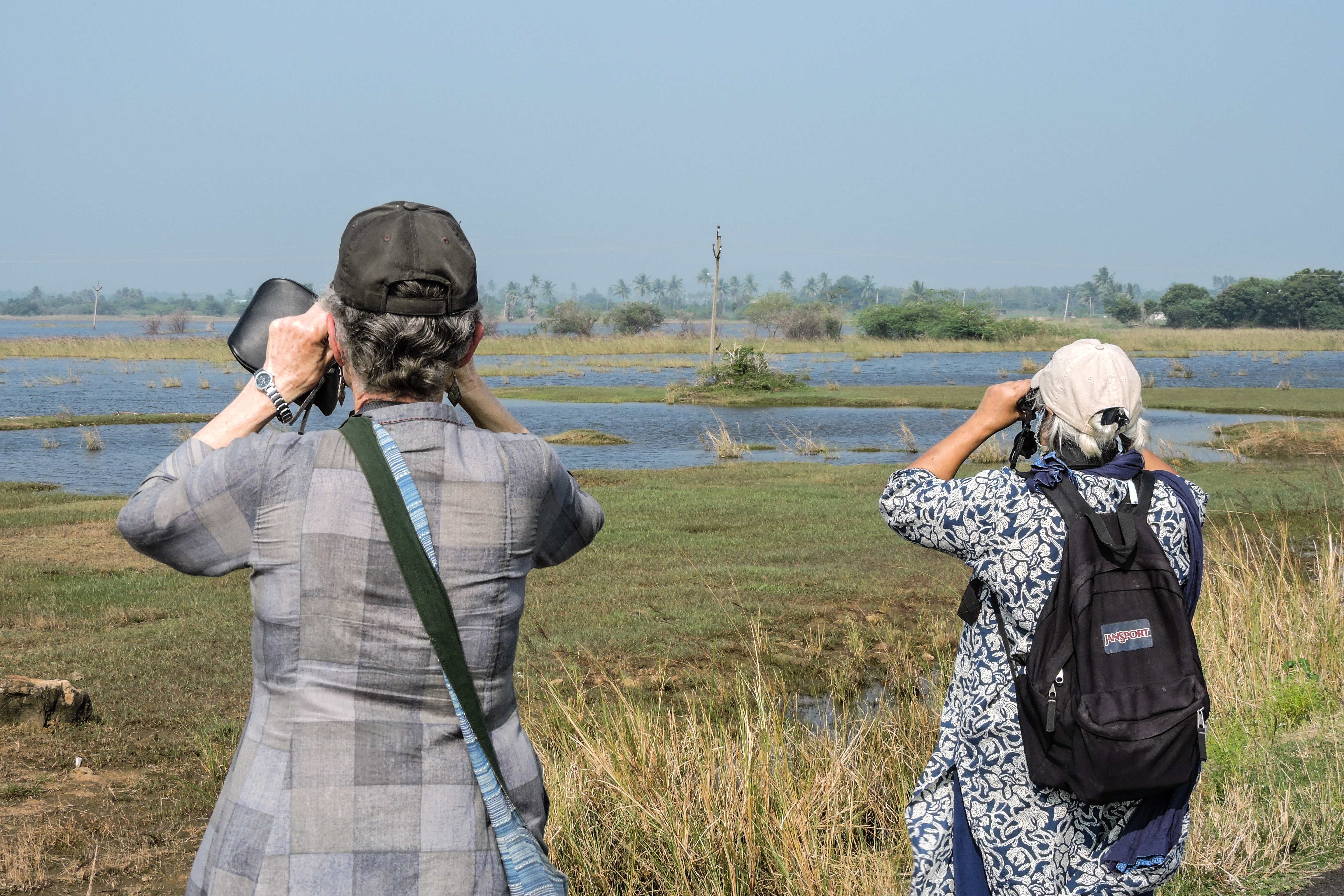 Tips for Birdwatchers: Observing and Documenting Avian Nesting Habits on Mount Kenya