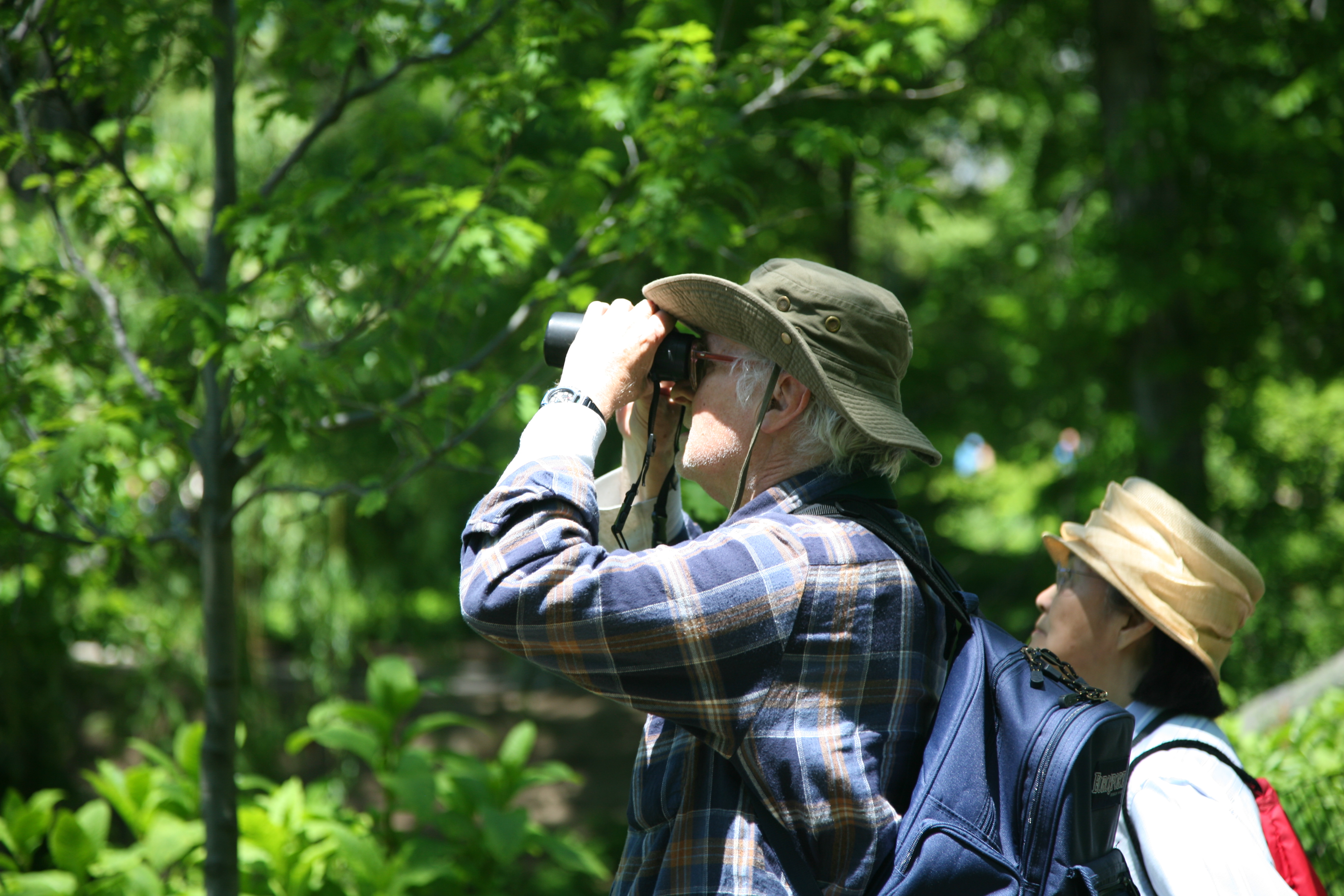 Heading 3: Nurturing Your Inner Birdwatcher: Tips and Tricks to Spot New Bird Species on Mount Kenya