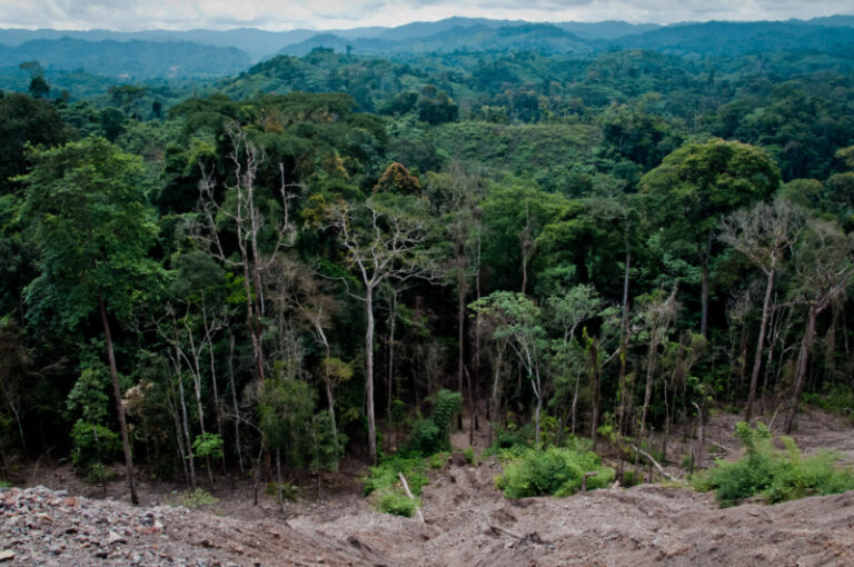 Exploring‍ the Impact‍ of Climate Change on Mount Kenya's Biodiversity and Livelihoods