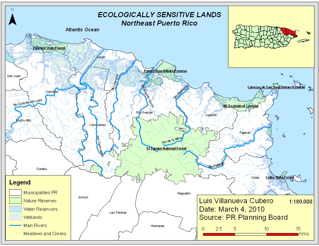 3. Conservation Priorities: Safeguarding the Unique Bird Species of Mount Kenya's Crater Lakes