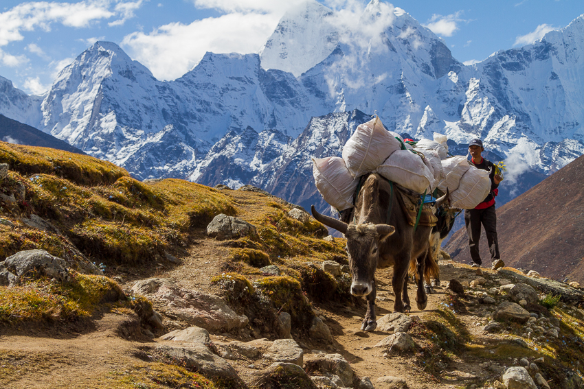 Preserving Cultural Heritage: Unearthing Authentic Experiences on Mount Kenya ​Trekking Tours