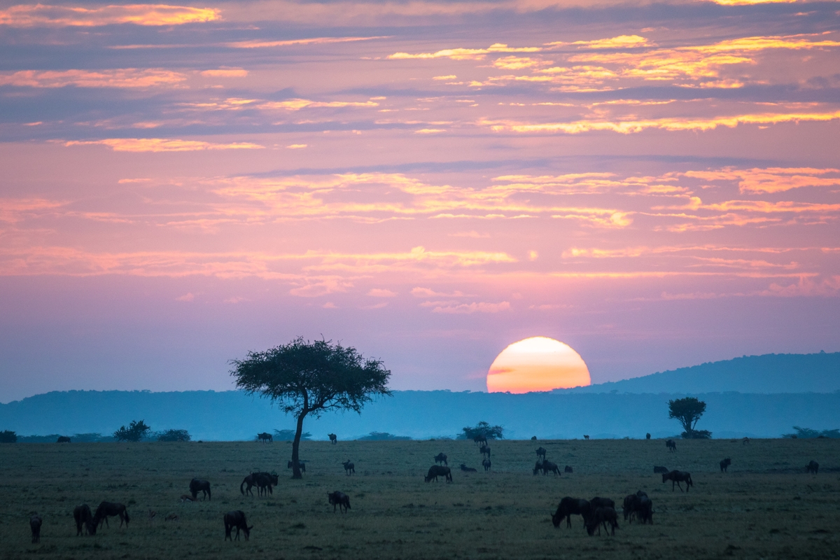 Factors to Consider When Determining the Ideal Booking Lead Time for Mount Kenya Scenic Flights