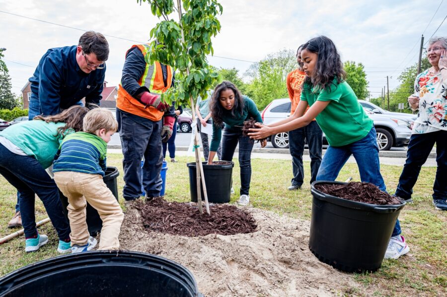 Strengthening Environmental Education Programs: Promoting Bird Awareness and Conservation