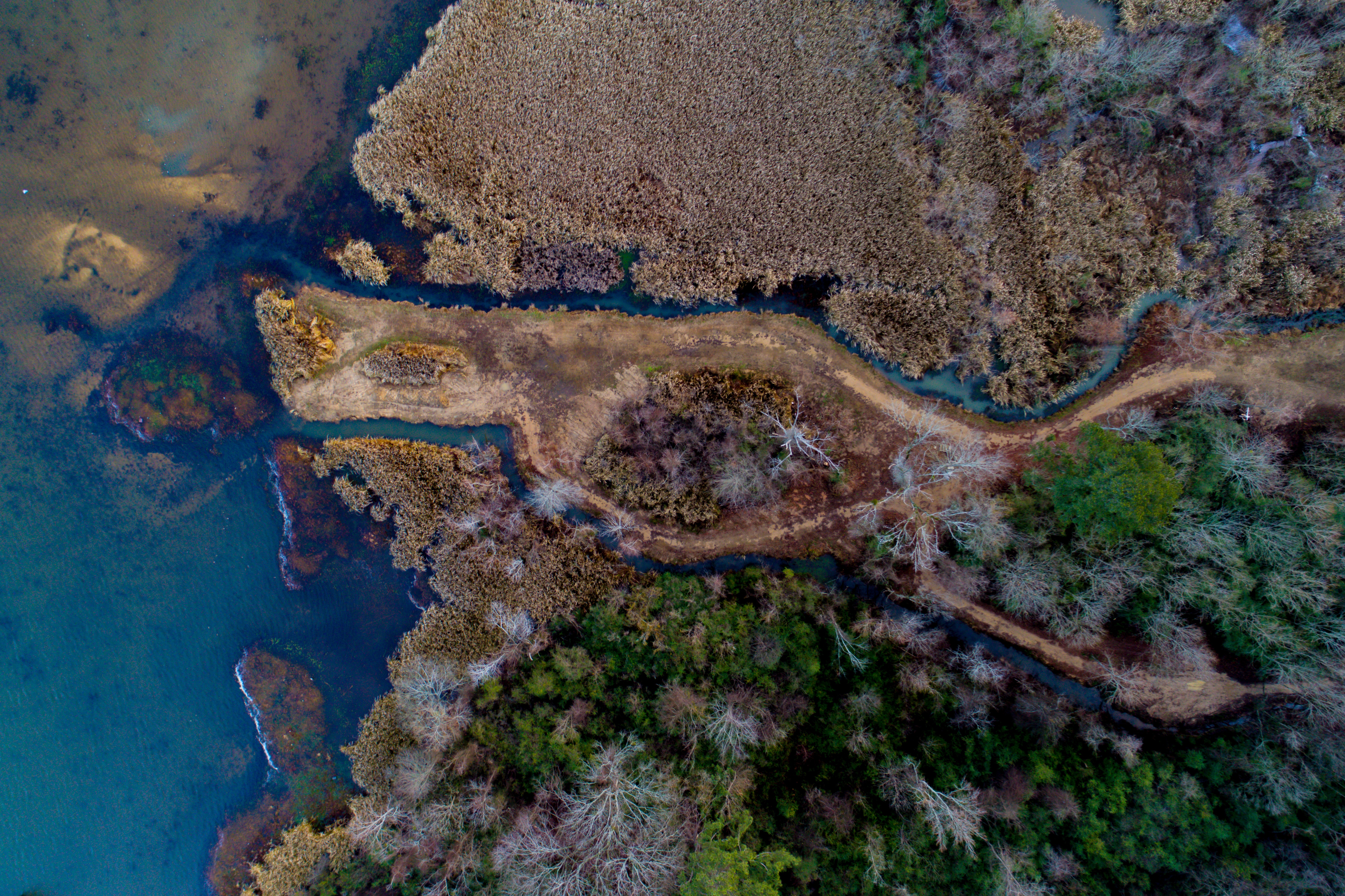 Equipping Your Journey: Essential Gear and Techniques for Aerial Wildlife Photography over Mount Kenya