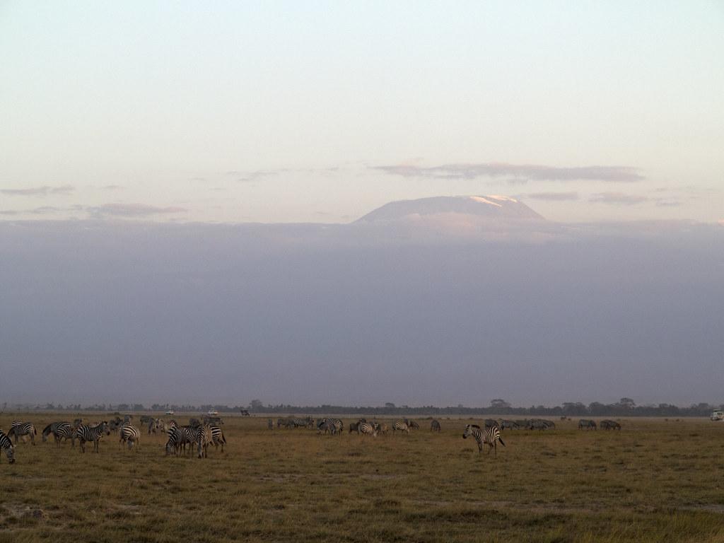 Exploring the Mount Kenya Ecosystem: Camping Opportunities and Experiences